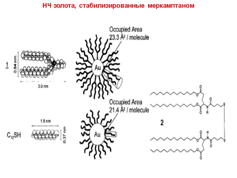 НЧ золота, стабилизированные меркамптаном